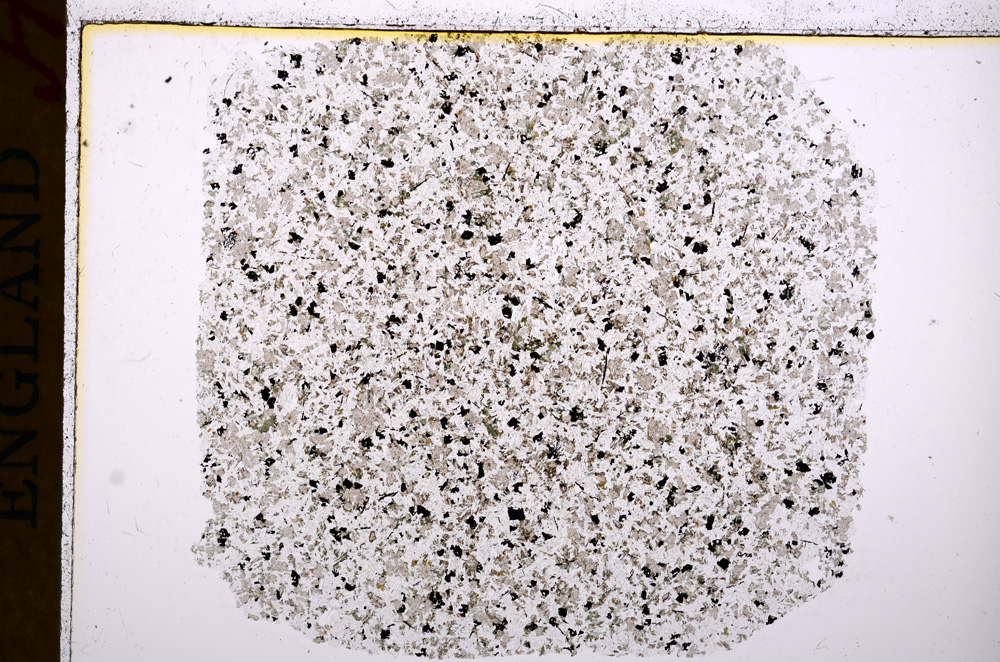 Plane Polarized, E17110