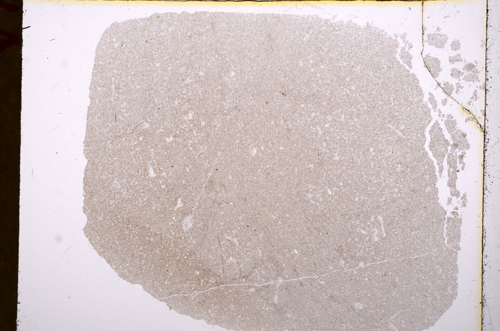 Plane Polarized, E17111