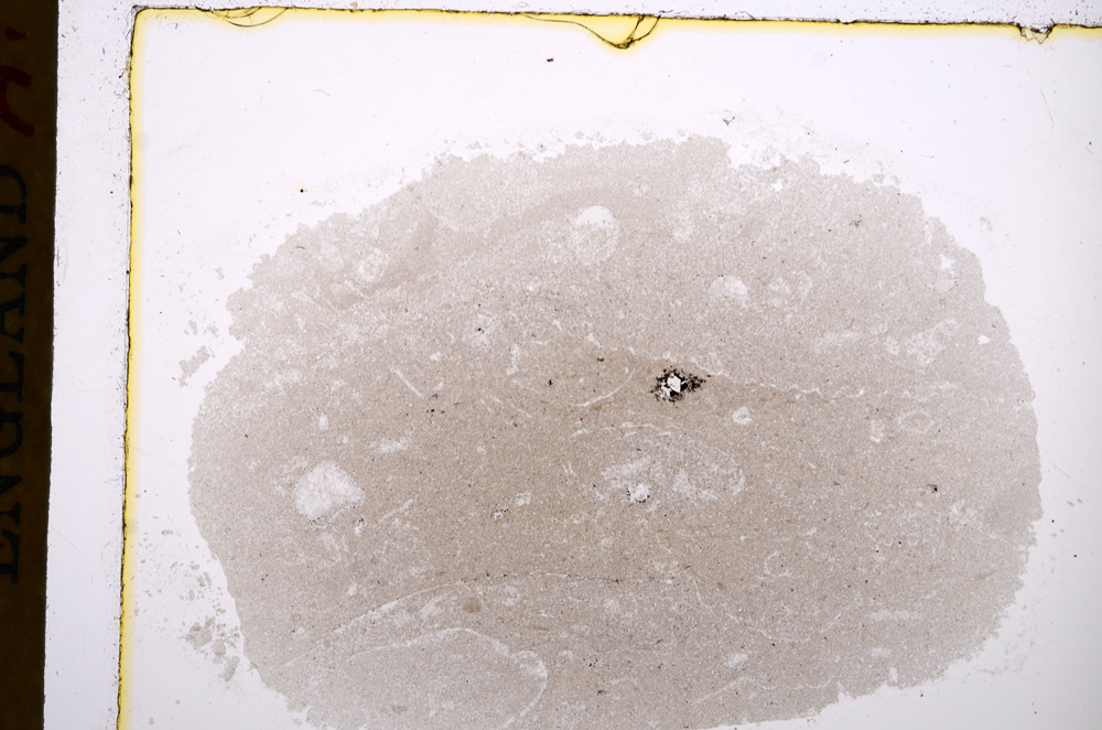 Plane Polarized, E17116