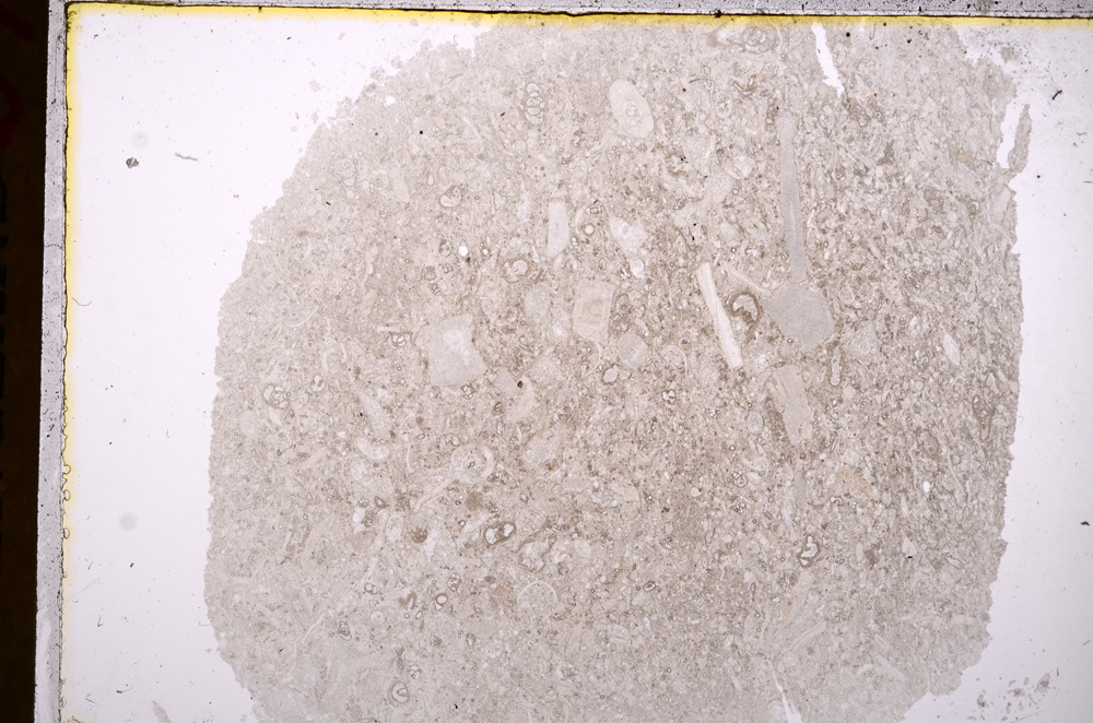 Plane Polarized, E17154