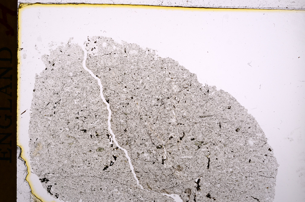 Plane Polarized, E17155