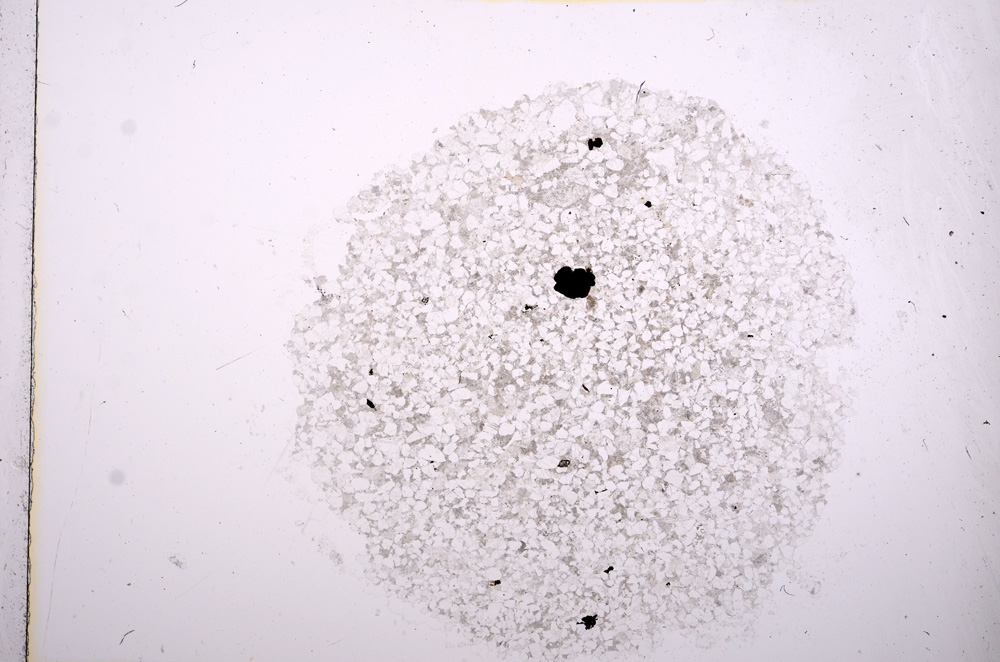 Plane Polarized, E17172