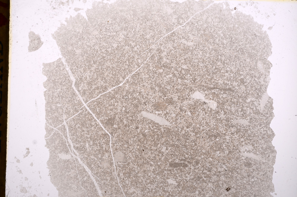 Plane Polarized, E17174
