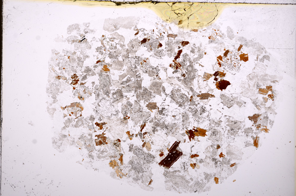 Plane Polarized, E17236
