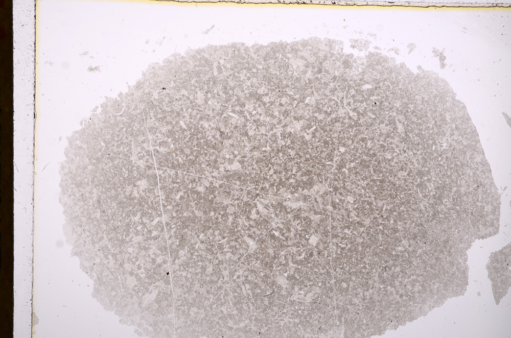 Plane Polarized, E17248