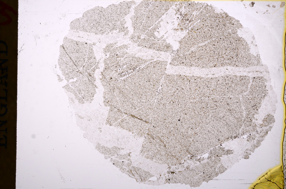 Plane Polarized, E17249