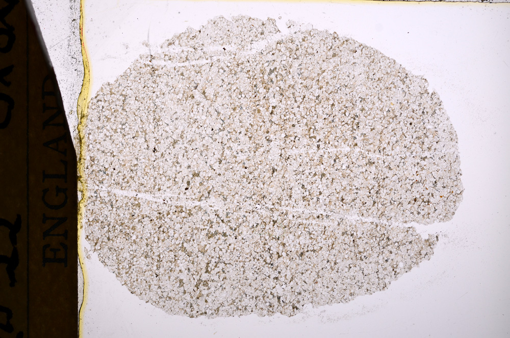 Plane Polarized, E17250