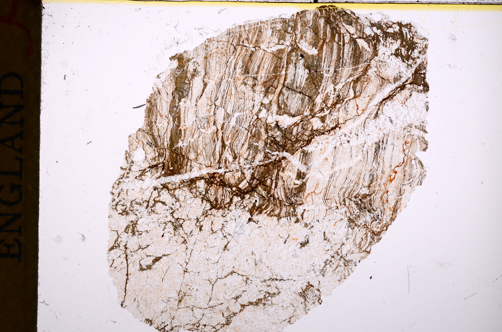 Plane Polarized, E17251