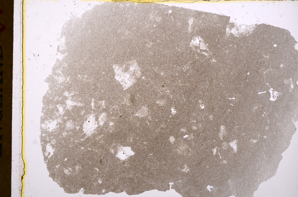 Plane Polarized, E17254