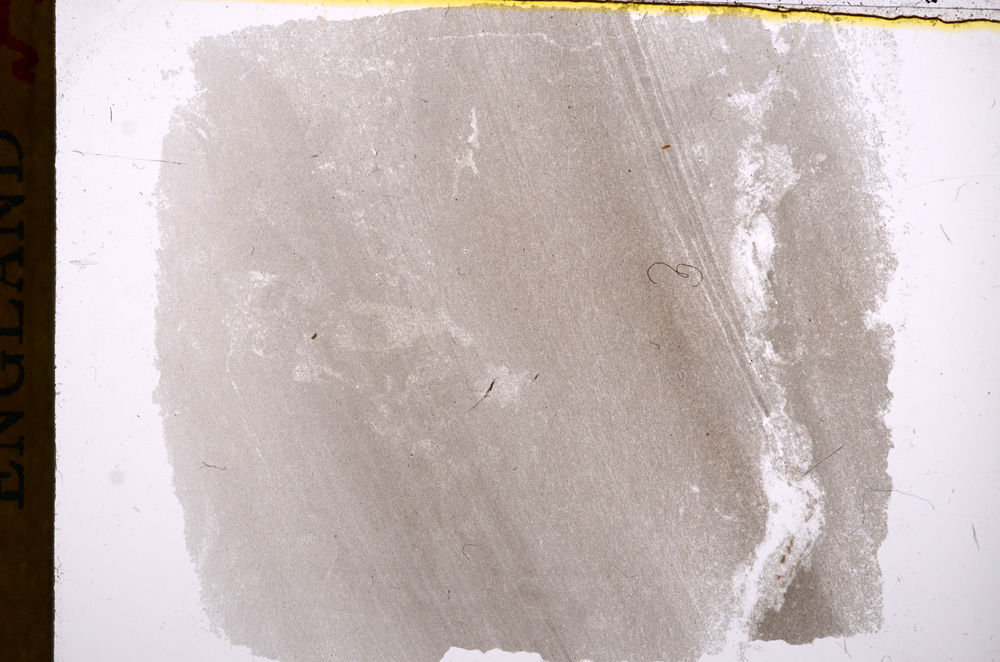Plane Polarized, E17256