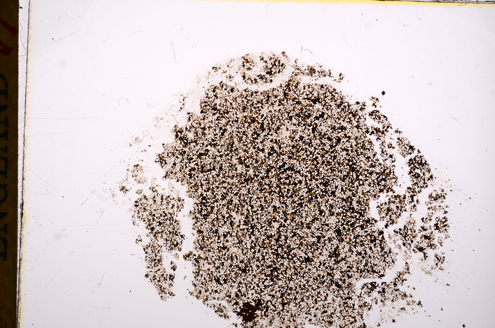 Plane Polarized, E17286