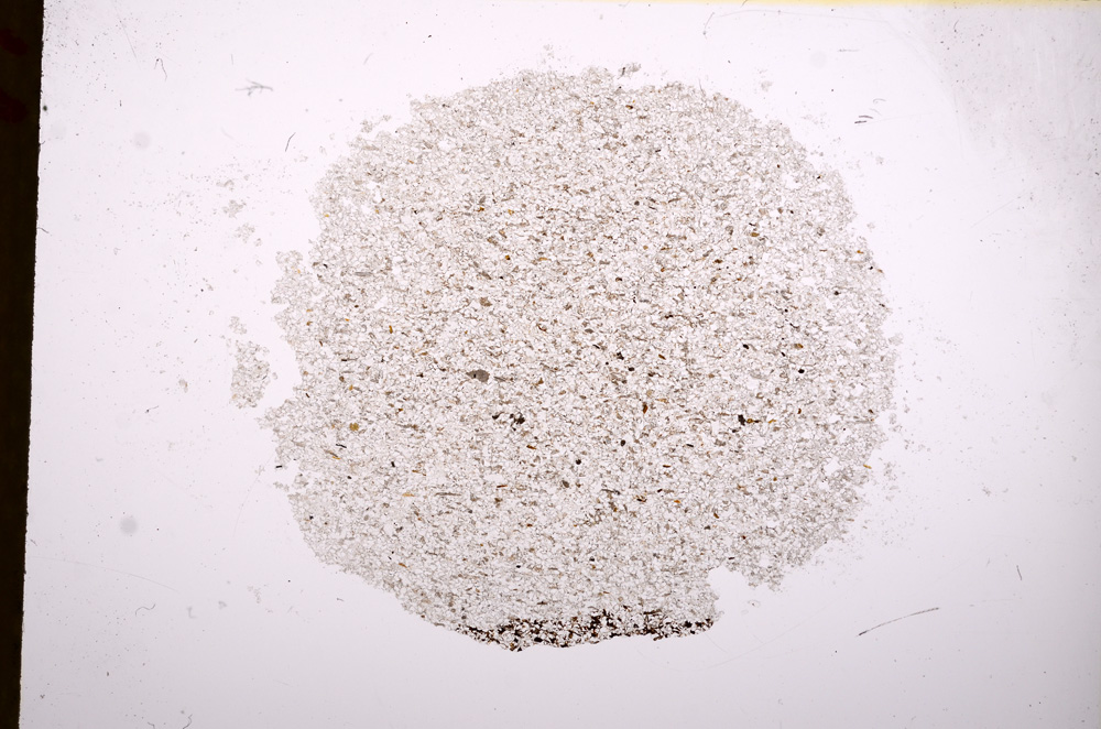 Plane Polarized, E17287