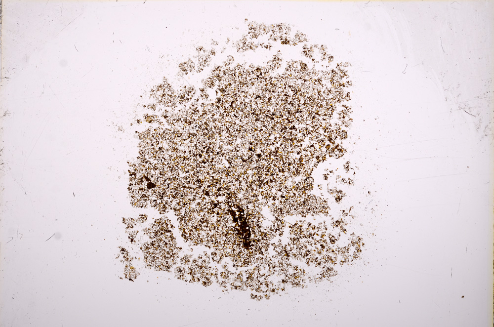 Plane Polarized, E17288