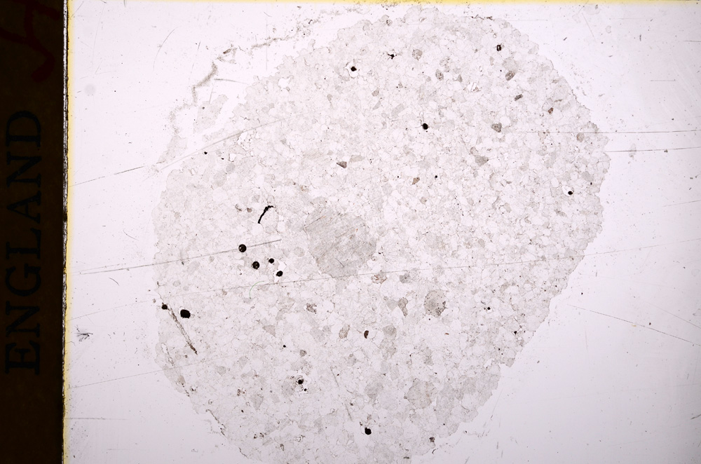 Plane Polarized, E17290