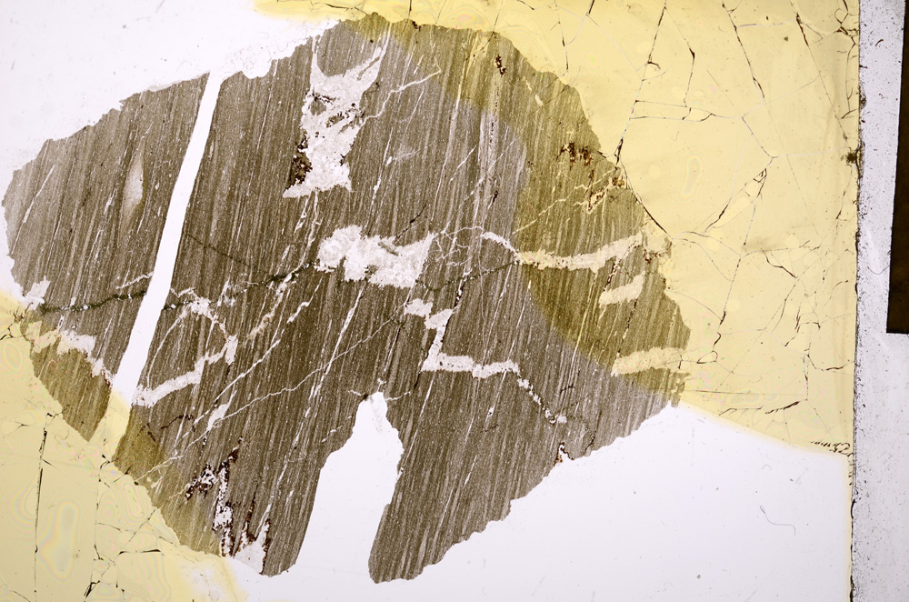 Plane Polarized, E17324