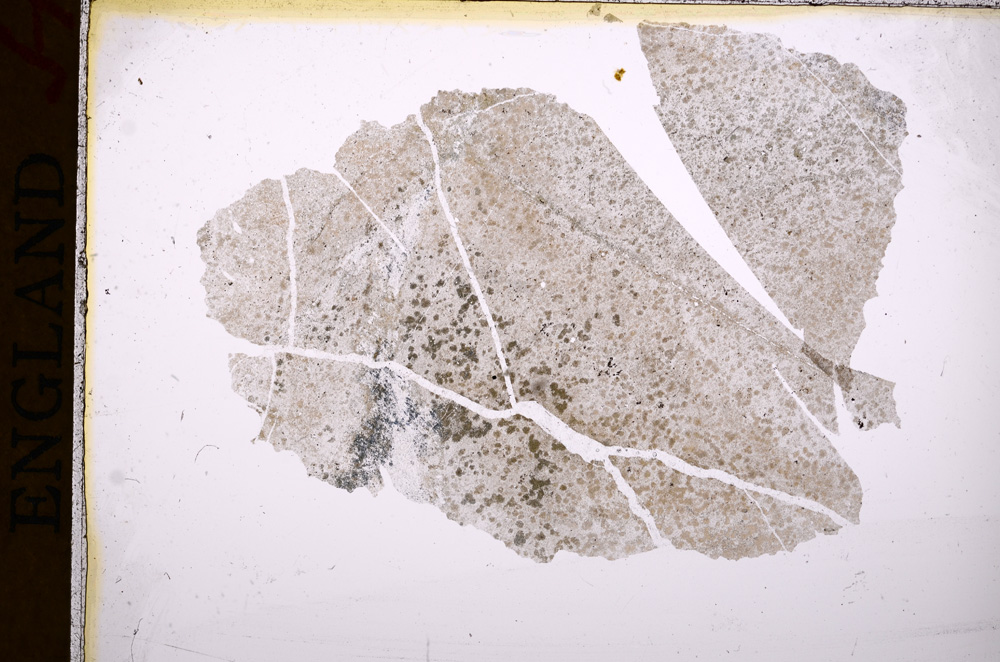 Plane Polarized, E17325
