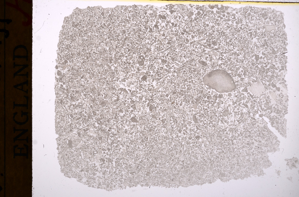 Plane Polarized, E17342