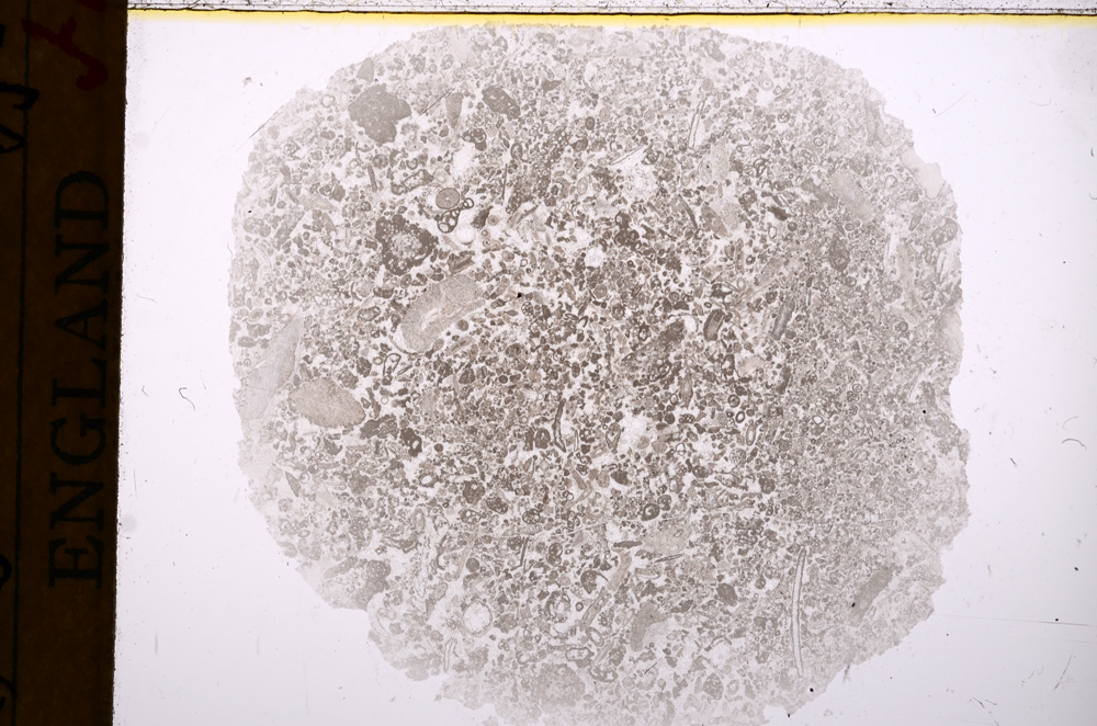 Plane Polarized, E17343