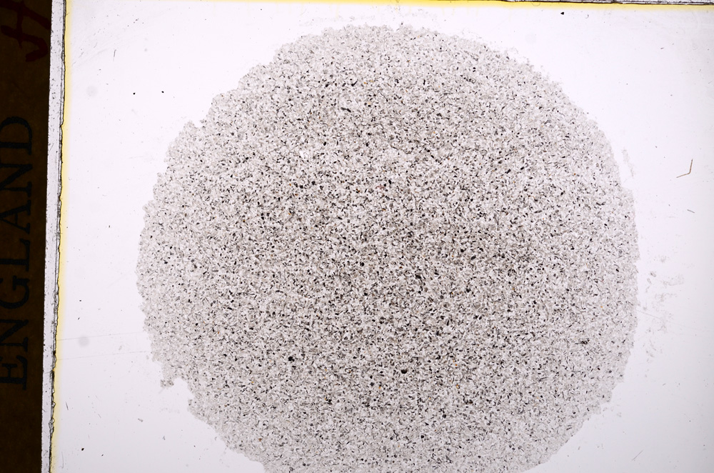 Plane Polarized, E17347