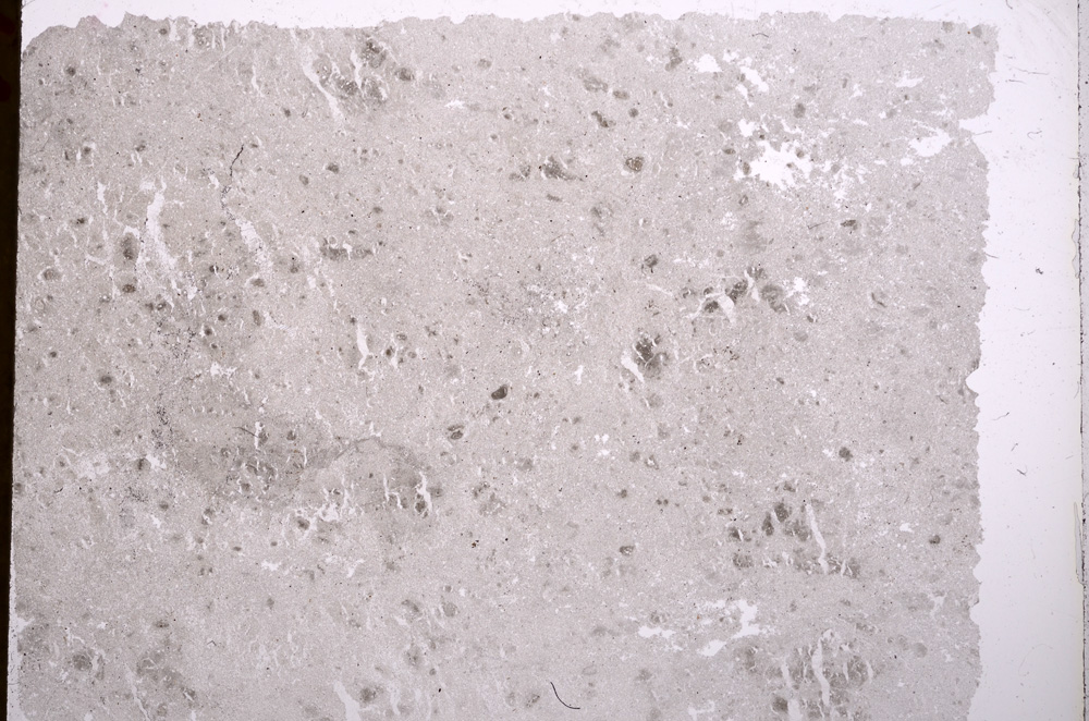 Plane Polarized, E17359