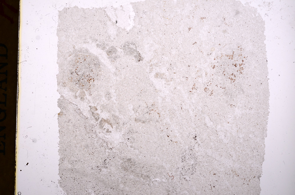 Plane Polarized, E17360