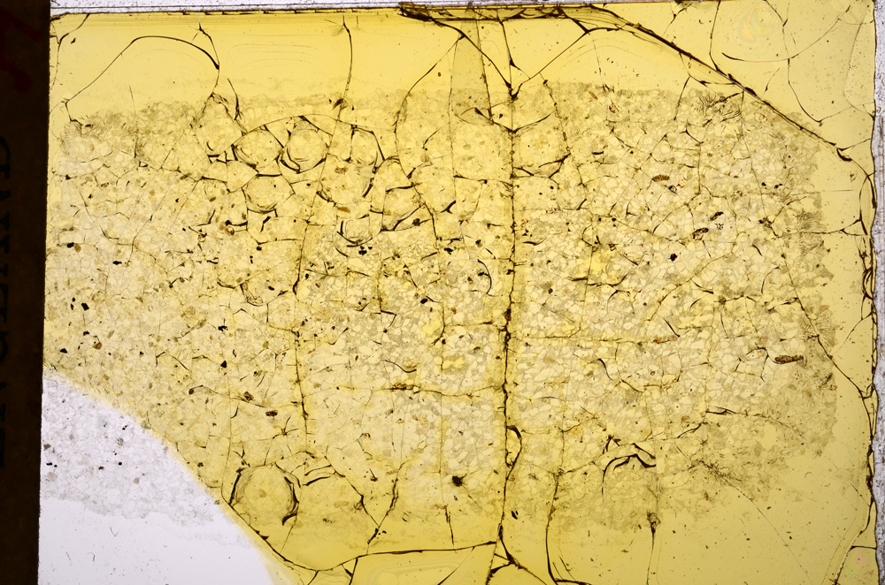 Plane Polarized, E17361