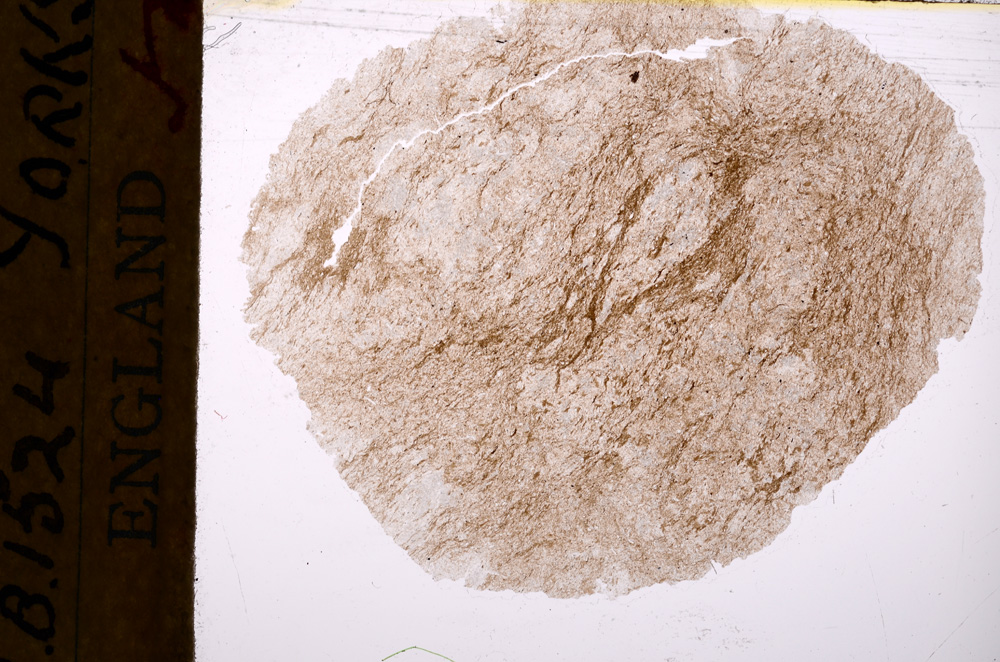 Plane Polarized, E17471