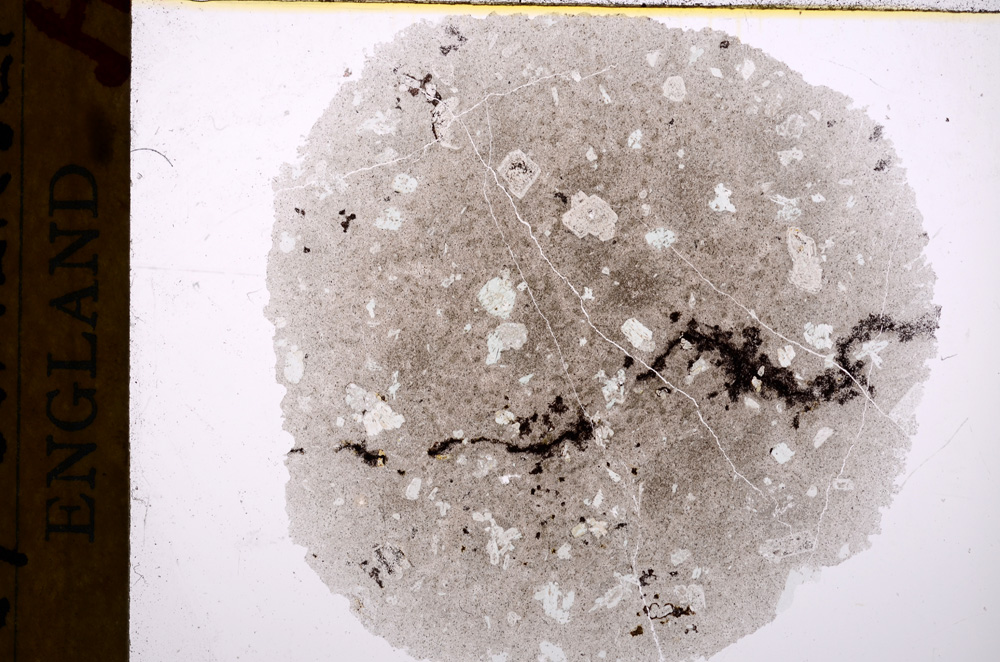 Plane Polarized, E17478