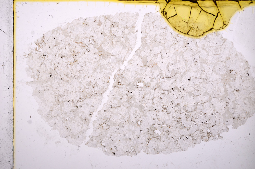 Plane Polarized, E17482