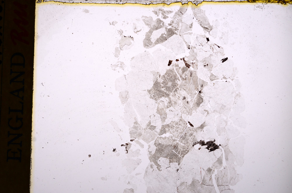 Plane Polarized, E17486