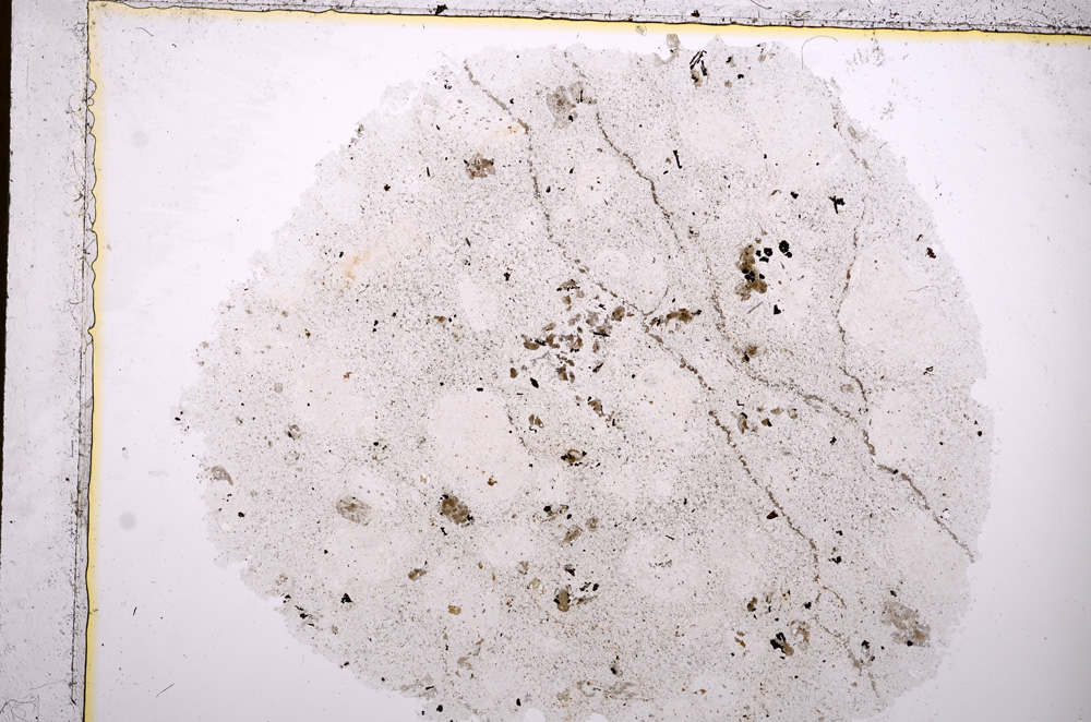 Plane Polarized, E17488