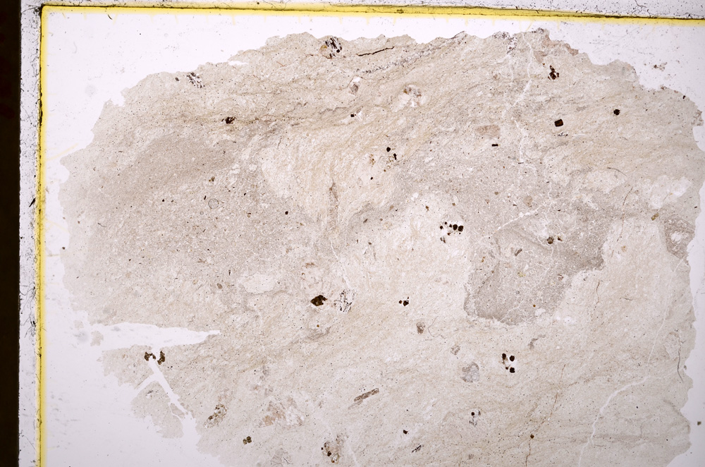 Plane Polarized, E17495