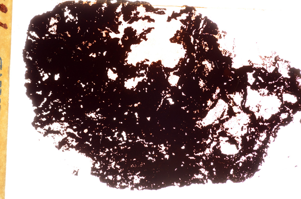 Plane Polarized, E17496