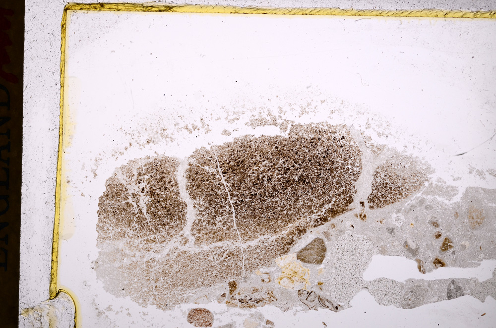 Plane Polarized, E17511