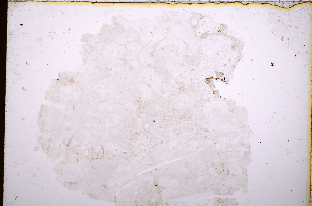 Plane Polarized, E17512