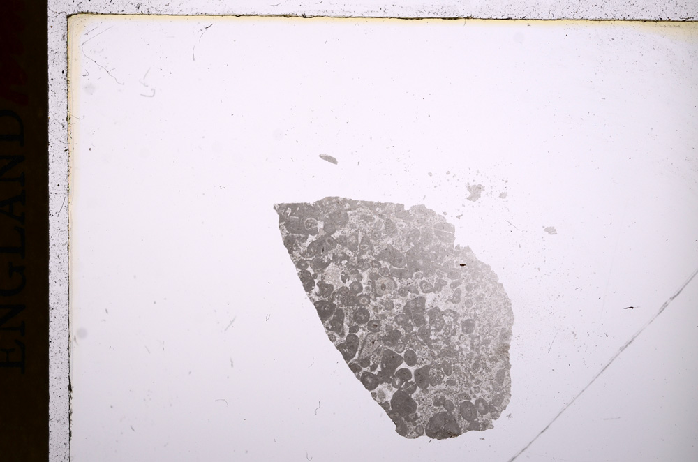 Plane Polarized, E17523