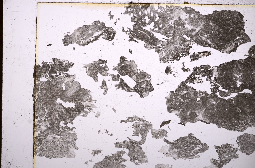 Plane Polarized, E17537