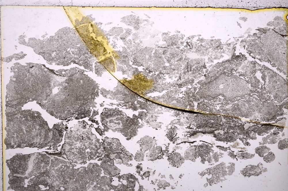 Plane Polarized, E17537/A