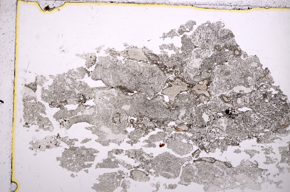 Plane Polarized, E17538