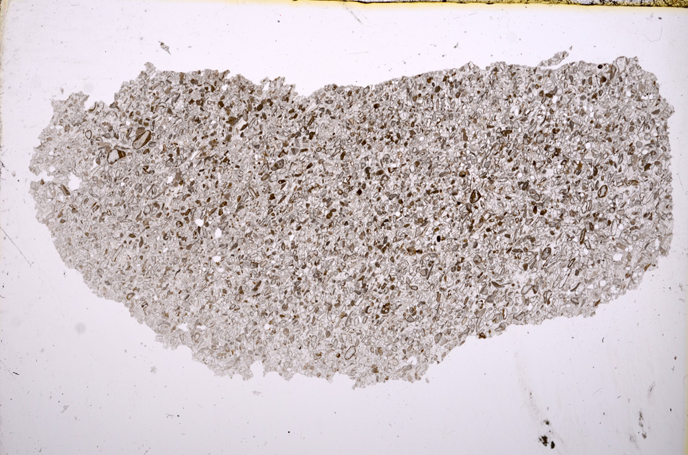 Plane Polarized, E17539