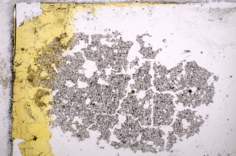 Plane Polarized, E17543