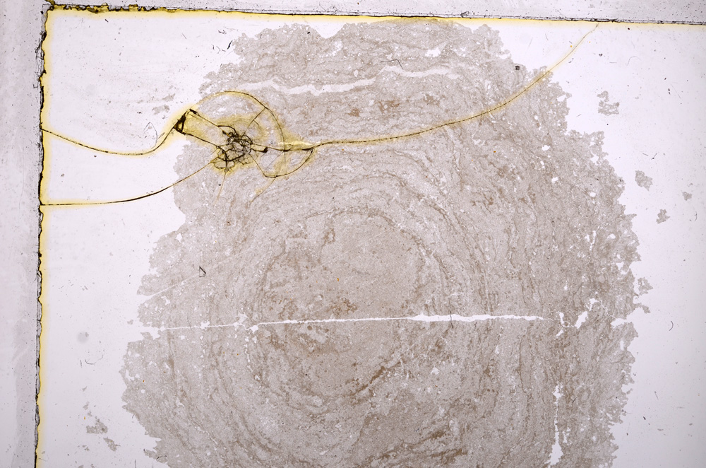 Plane Polarized, E17549