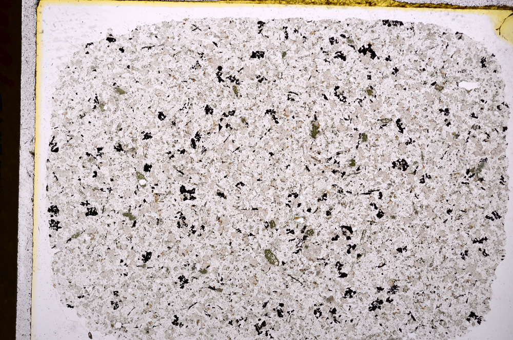 Plane Polarized, E17550