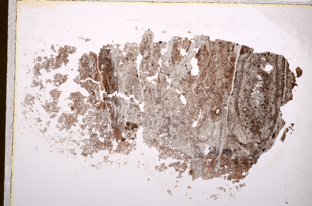 Plane Polarized, E17561