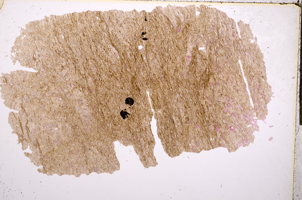 Plane Polarized, E17576