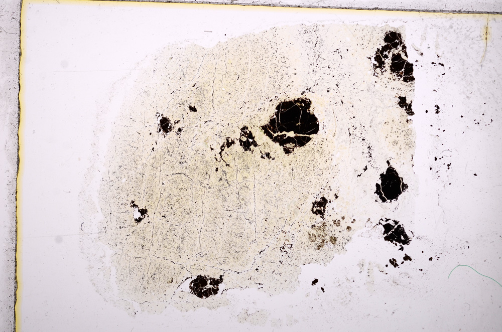 Plane Polarized, E17598