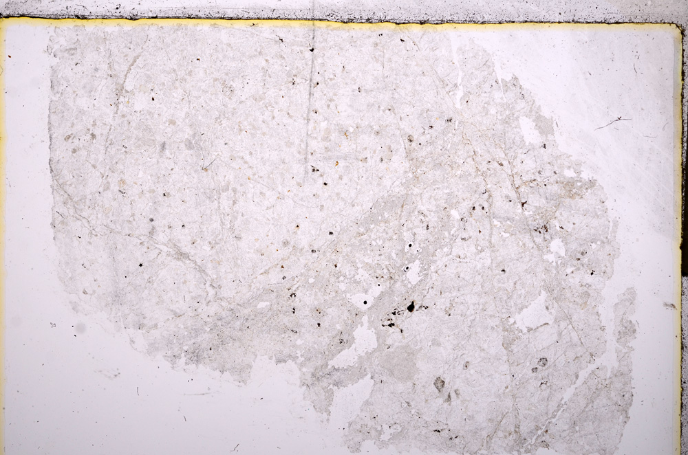 Plane Polarized, E17612