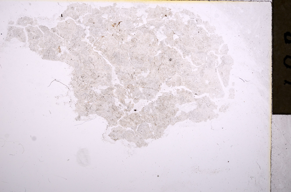 Plane Polarized, E17614