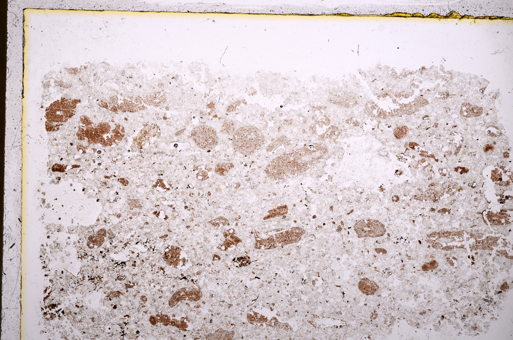 Plane Polarized, E17630