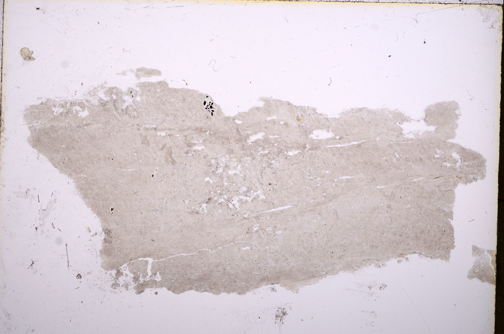 Plane Polarized, E17652